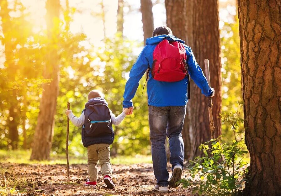Hiking Is Much More Than a Walk in the Park: Be Prepared by Following Hiking Safety Tips!